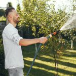Jak utrzymać trawnik w pięknym stanie